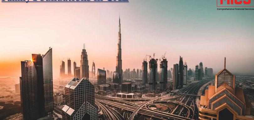 MICS-Family-Foundation-in-UAE